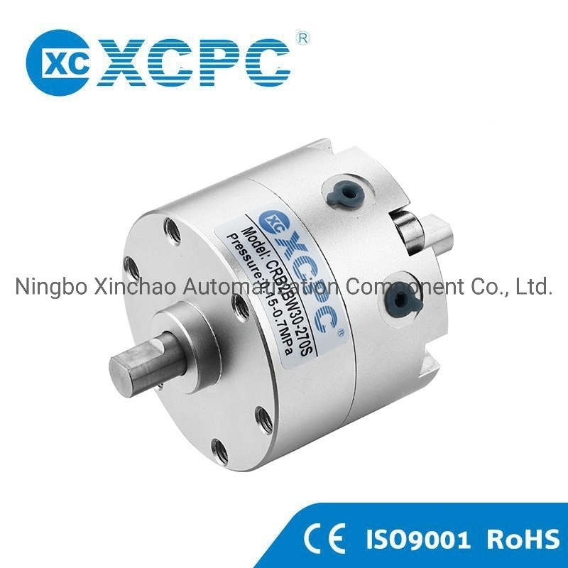 China Pneumatic Factory Cra1 Rack&Pinion Type Rotary Actuator